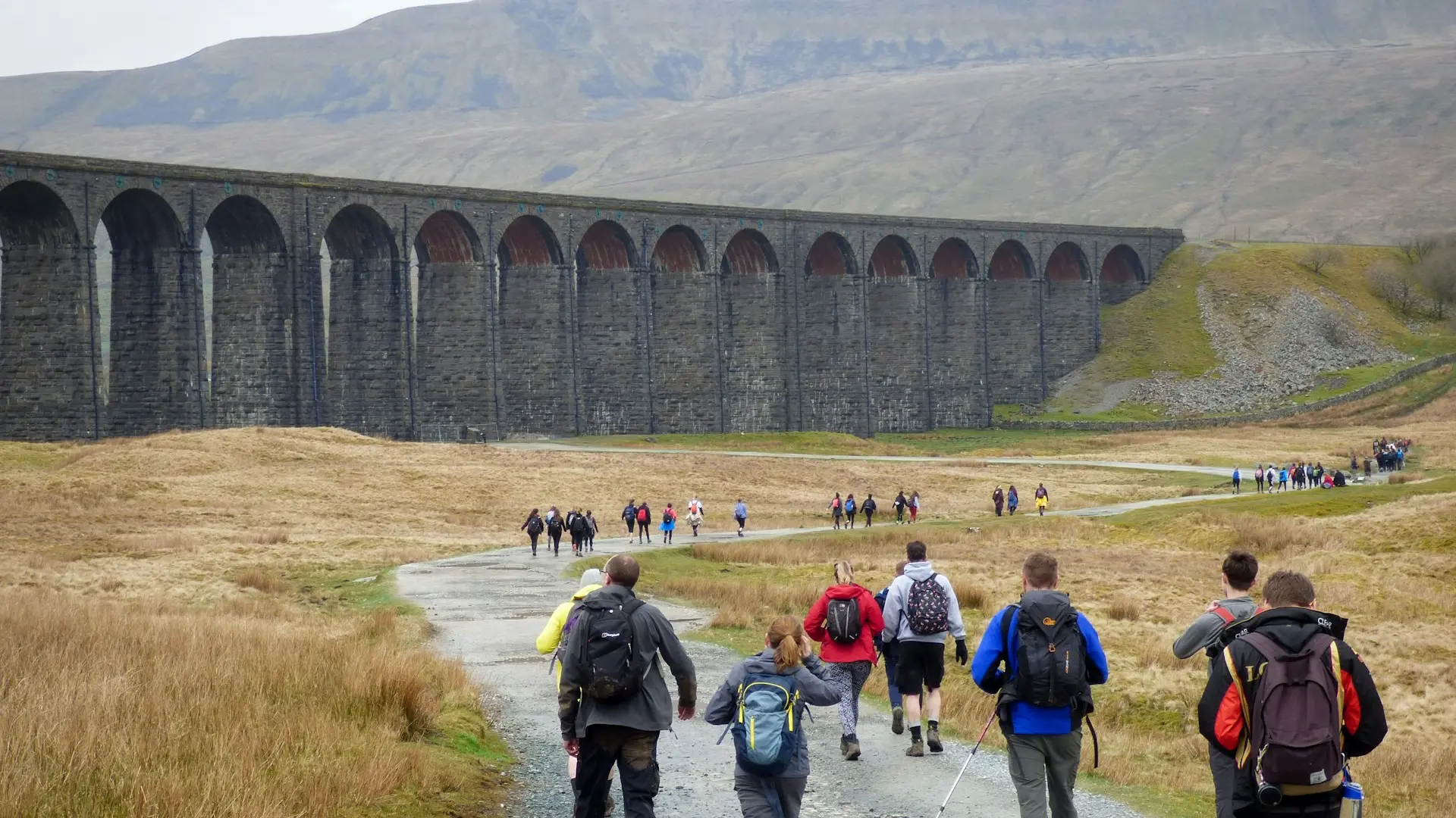 people walking near gray concrete bridge during daytime